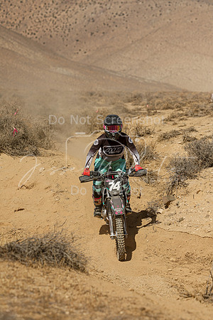 IMG_8872-74v