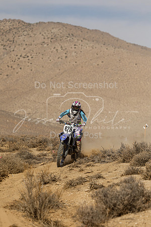 IMG_8730-828v