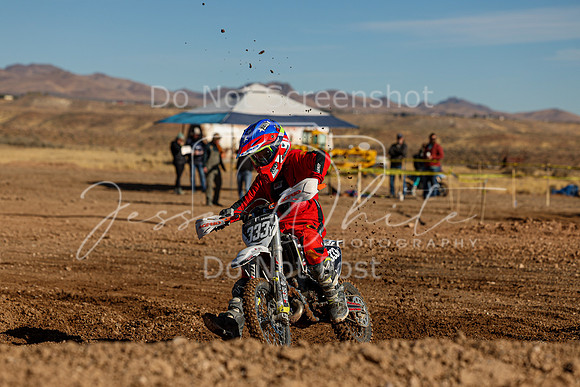 IMG_4224-333y