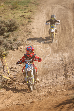 IMG_2384-50