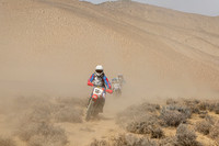IMG_8366-14b