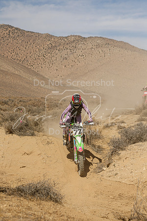 IMG_8756-77v