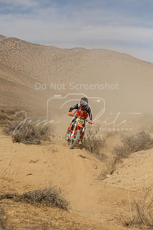 IMG_8717-112j