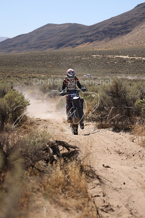 IMG_4451-19a