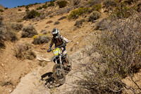 IMG_6231-124n