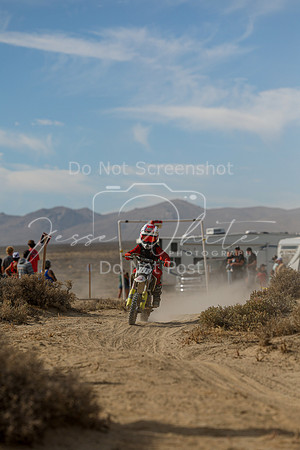 IMG_7839-101z