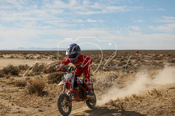 IMG_7624-808z