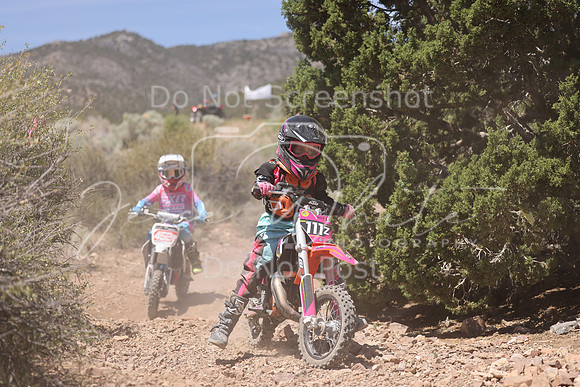 IMG_4308-111z