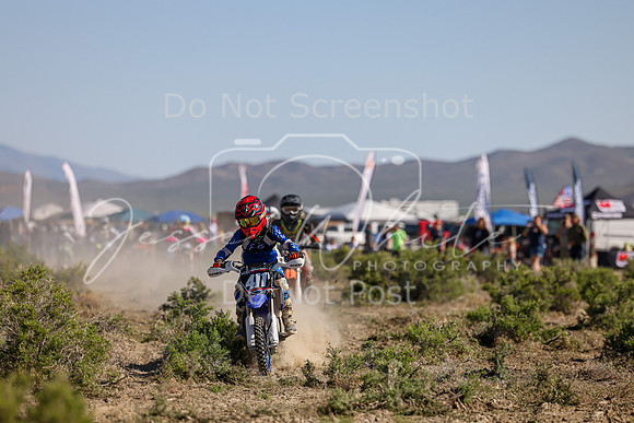 IMG_7859-411y