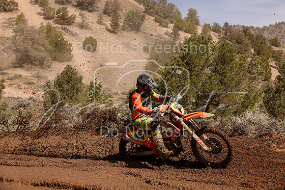 IMG_9341-428