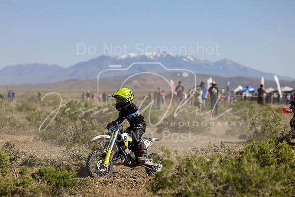 IMG_7912-207z