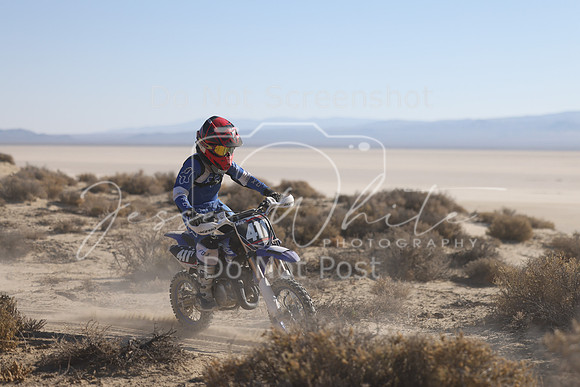 IMG_6604-411y