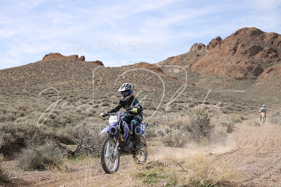 IMG_6036-808j