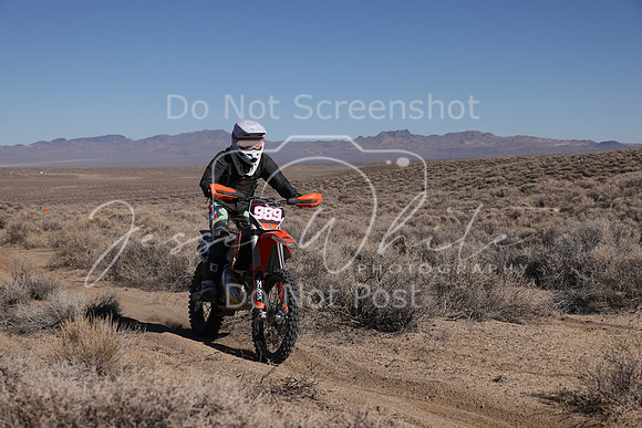 IMG_9590-989v
