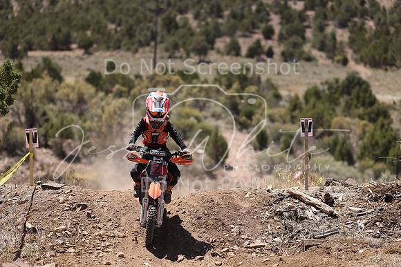 IMG_4236-2z