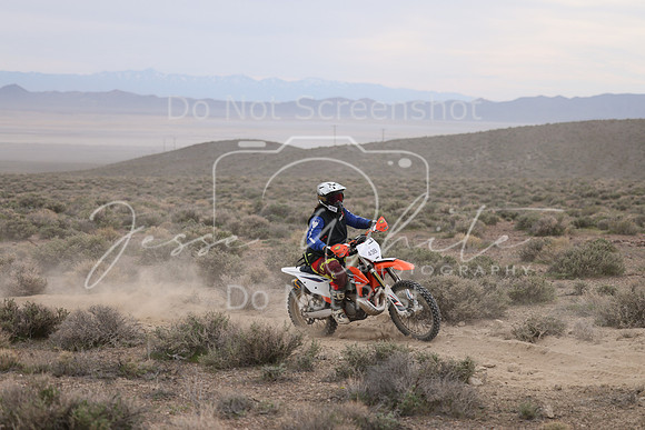 IMG_8115-43b