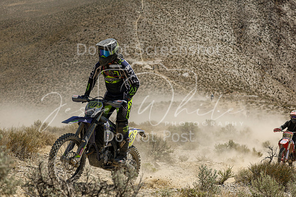 IMG_3597-n317v