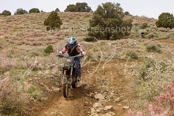 IMG_2318-207