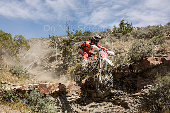IMG_3878-x1