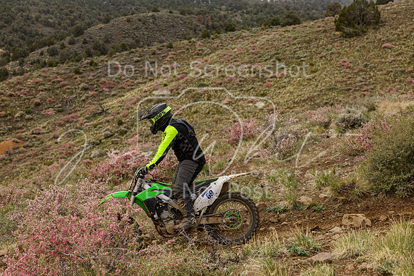 IMG_2345-69