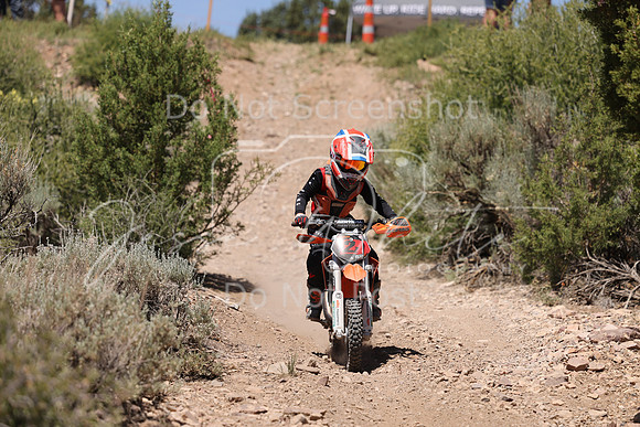 IMG_4318-2z