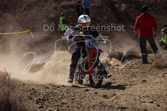 IMG_7638-110y