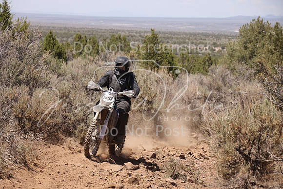 IMG_5641-t20