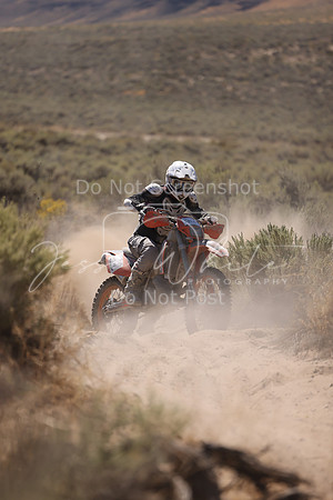 IMG_4479-811n