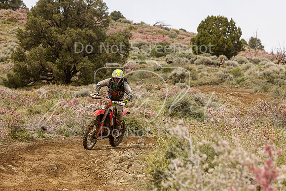 IMG_2311-