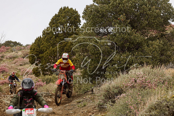 IMG_2241-279