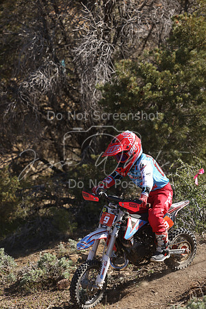 IMG_6238-9