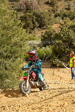 IMG_9994-7