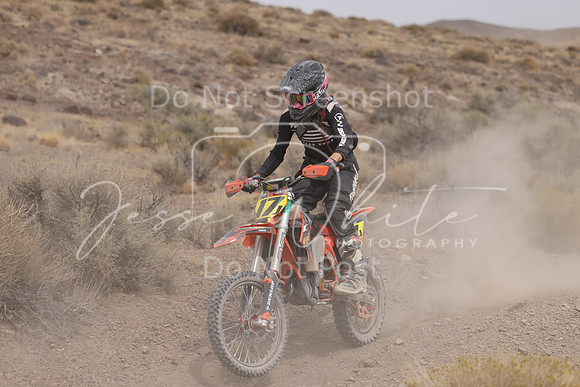 IMG_8909-17j