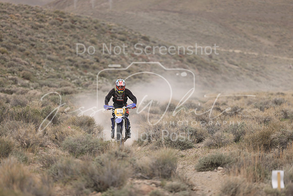 IMG_9512-13b