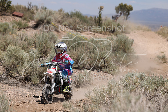 IMG_4586-452p