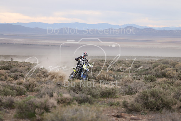 IMG_7739-3b