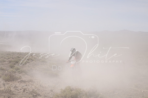 IMG_3619-215t