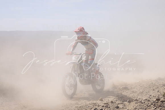 IMG_3598-3t