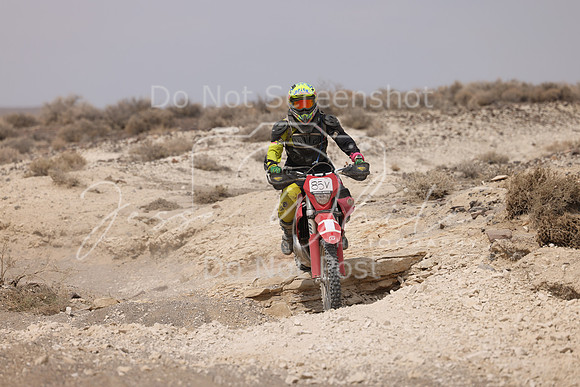 IMG_9581-85v