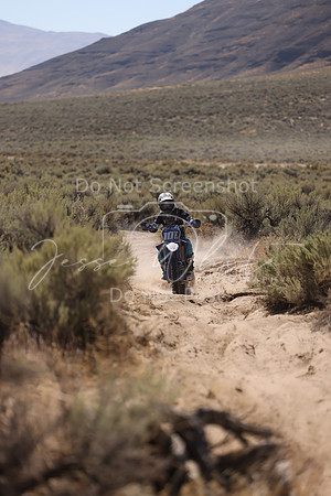 IMG_4584-101w