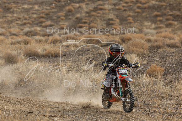 IMG_9852-490z