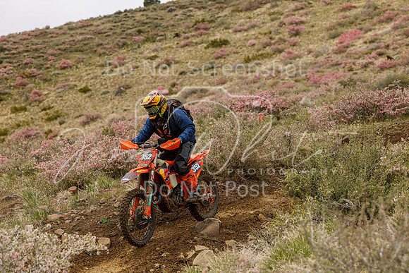IMG_2450-352