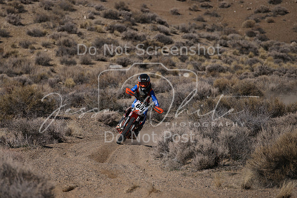 IMG_9115-66j