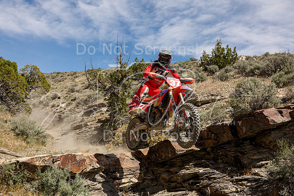 IMG_3871-37v