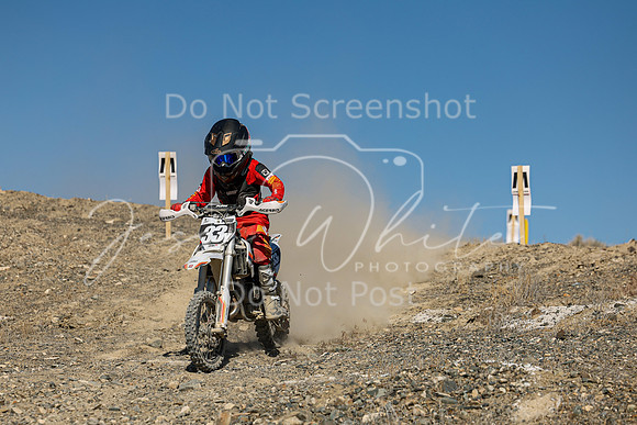 IMG_9609-33y