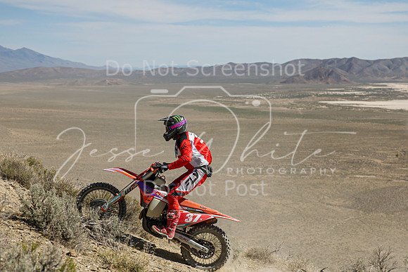 IMG_2979-37v