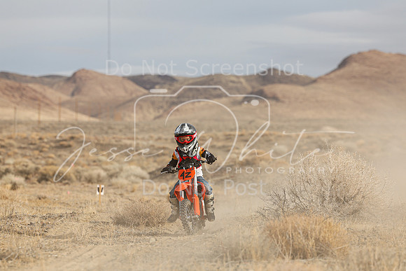 IMG_9903-4z