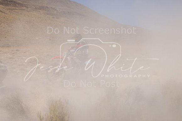 IMG_3958-80t