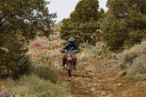 IMG_2207-