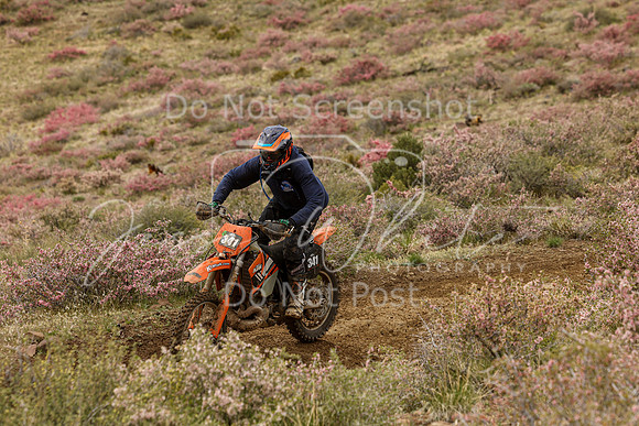 IMG_2393-341